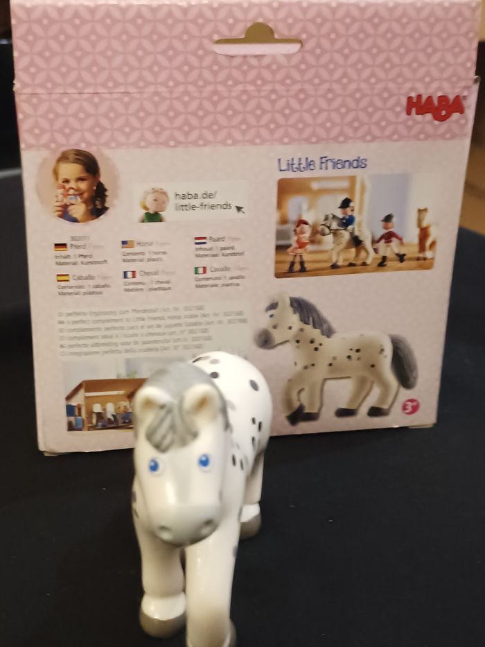 Cheval Pipa Haba - photo numéro 2