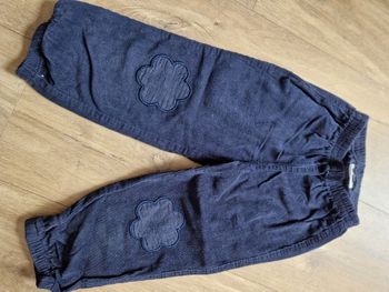 Pantalon velour