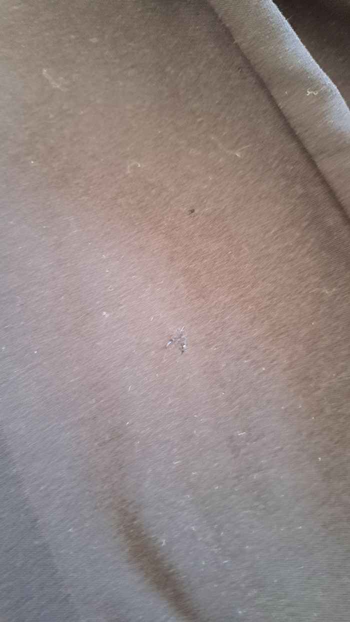 Lot de deux joggings et deux pantalons - photo numéro 8