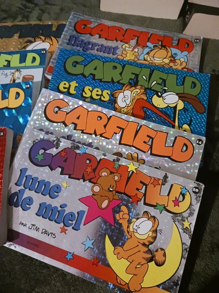 BD Garfield