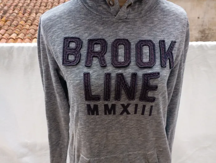 Sweat à capuche Bizzbee - photo numéro 3