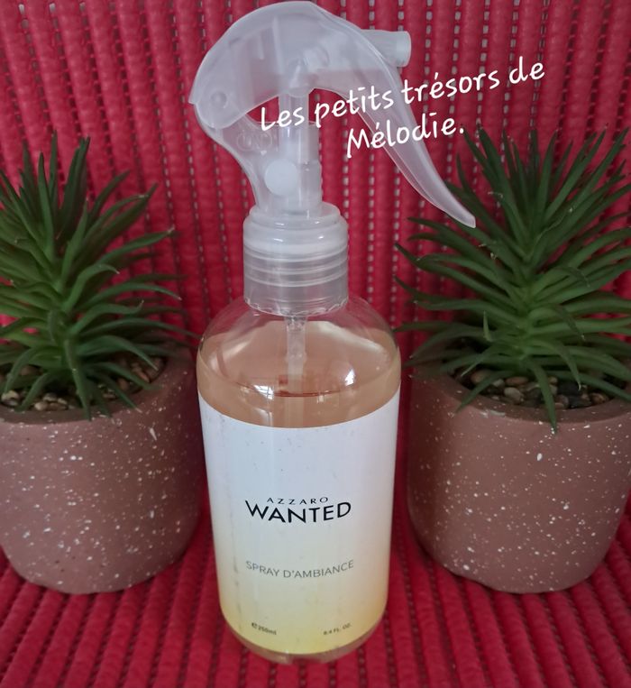 Spray d'intérieur/textile Wanted Azzaro