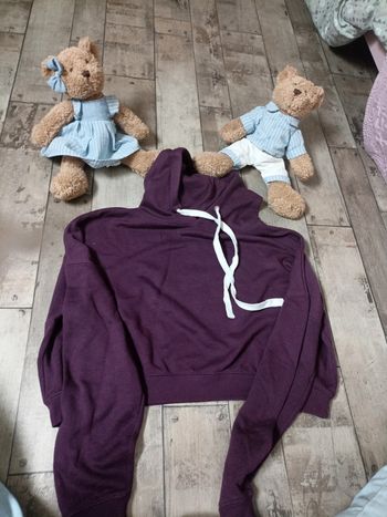 Sweat court capuche 34