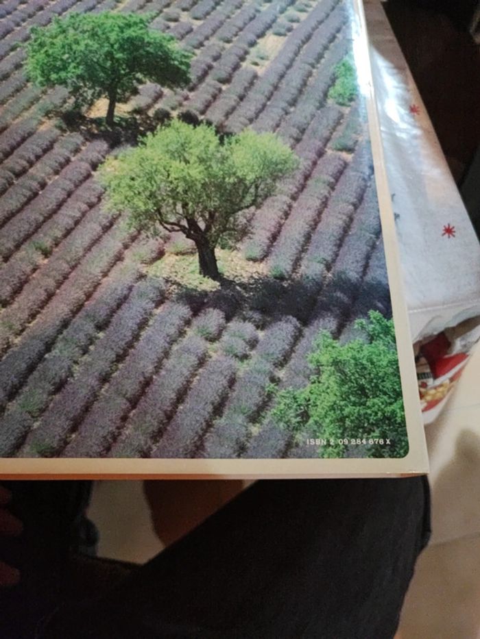 Provence - photo numéro 3