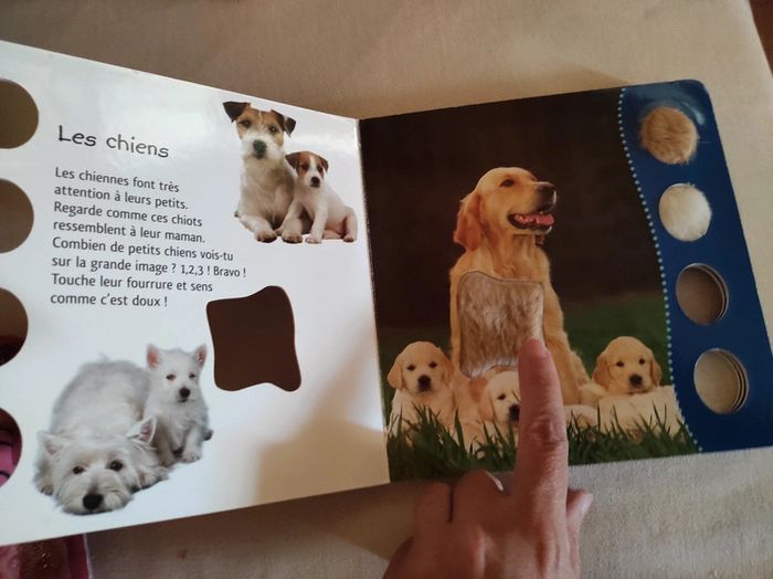 Touche et découvre Les animaux en famille - photo numéro 3