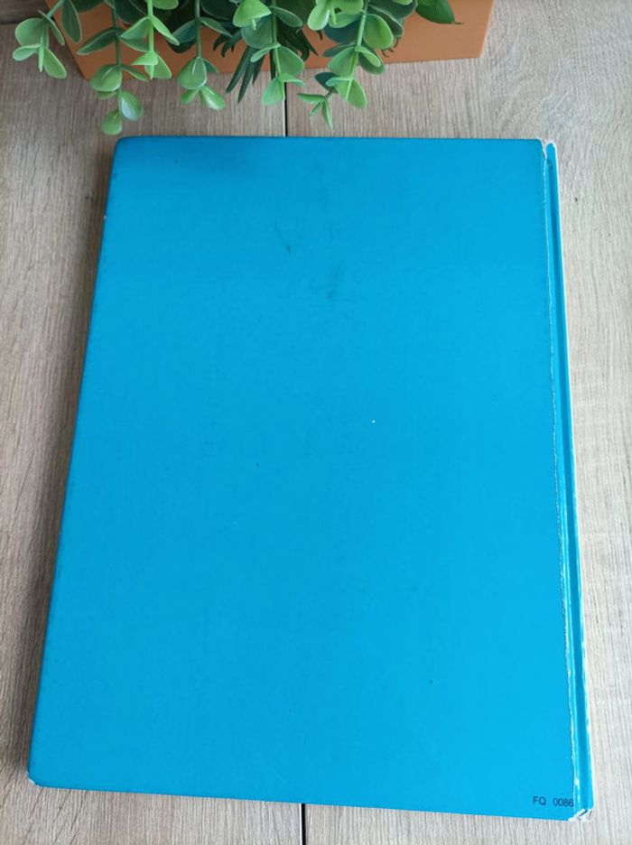 Livre Le roman de Heidi - photo numéro 4