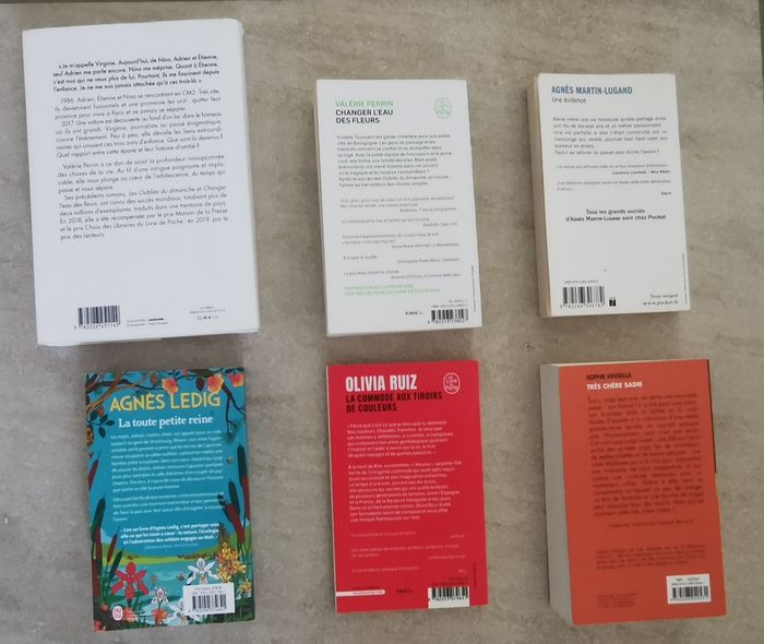 6 romans  dont 2 de Valérie Perrin - photo numéro 3