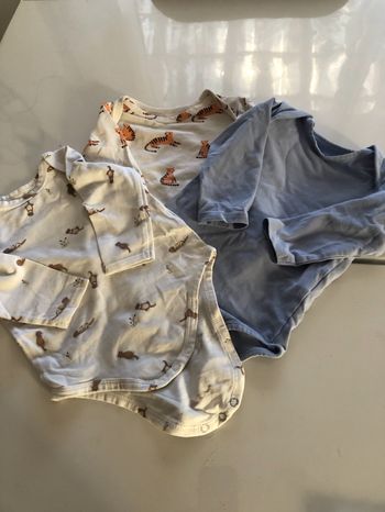Lot 3 bodies Tape à l œil 9 mois manches longues
