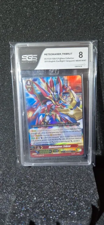 Carte gradée Meteokaiser Tribrut, SGS 8