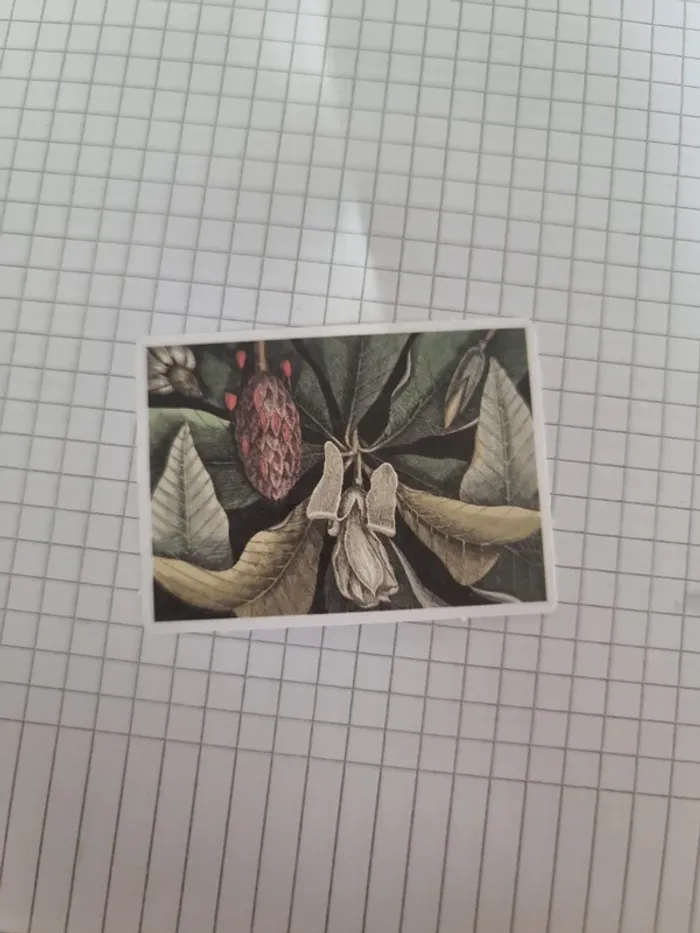 Divers papier scrap (lot C) - photo numéro 11