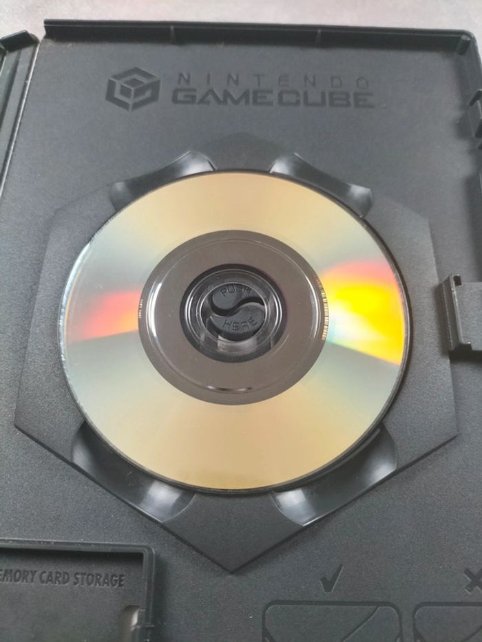 Jeu GameCube – Les Sims : Permis de Sortir - photo numéro 6