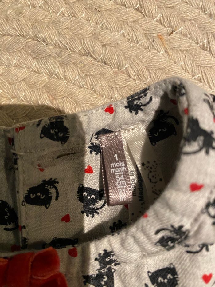 Robe chats - photo numéro 2