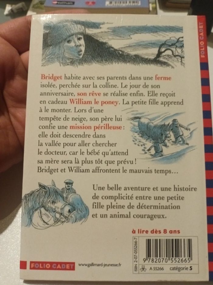 Le poney dans la neige - photo numéro 2