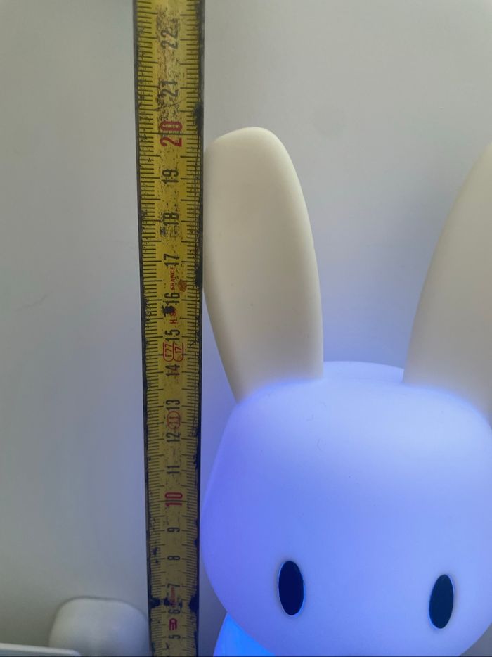 Veilleuse - photo numéro 2