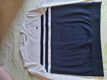lot pantalons sweat xl et tees shirts lacoste