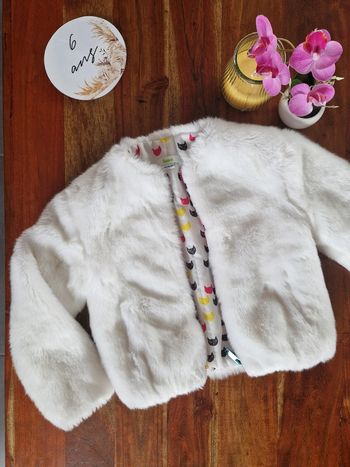 Manteau fourrure épais doublure chats