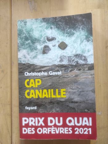 Cap canaille Christophe Gavat Fayard 2020