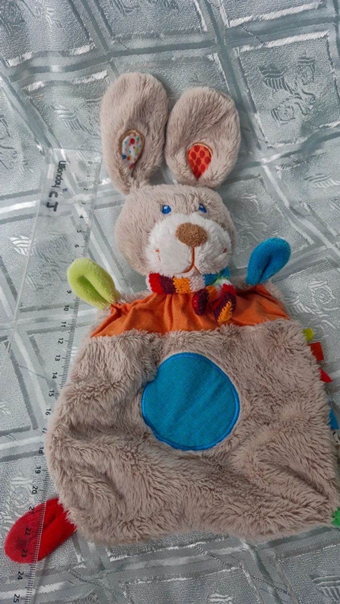 Lapin plat Simba - photo numéro 2