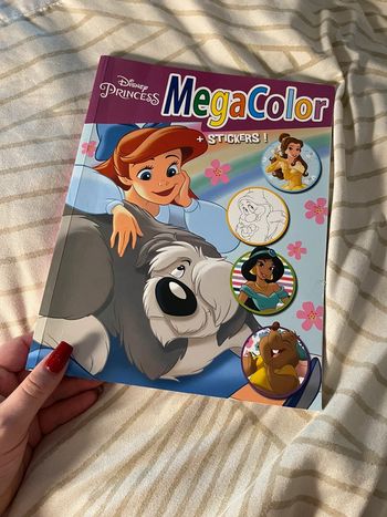 Livre Disney princesse