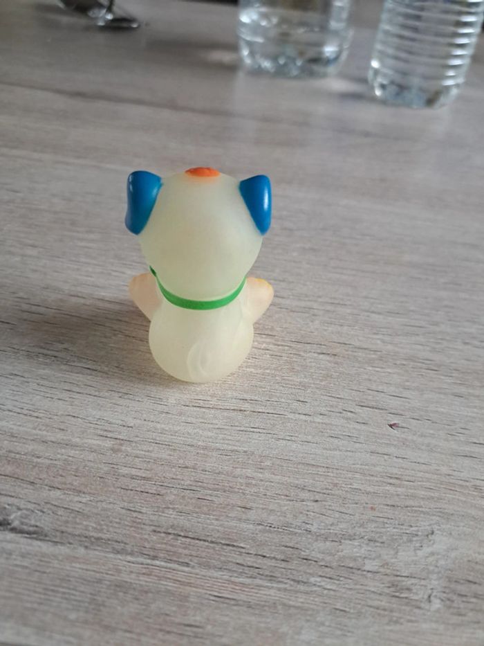 Chien Luciole - photo numéro 2