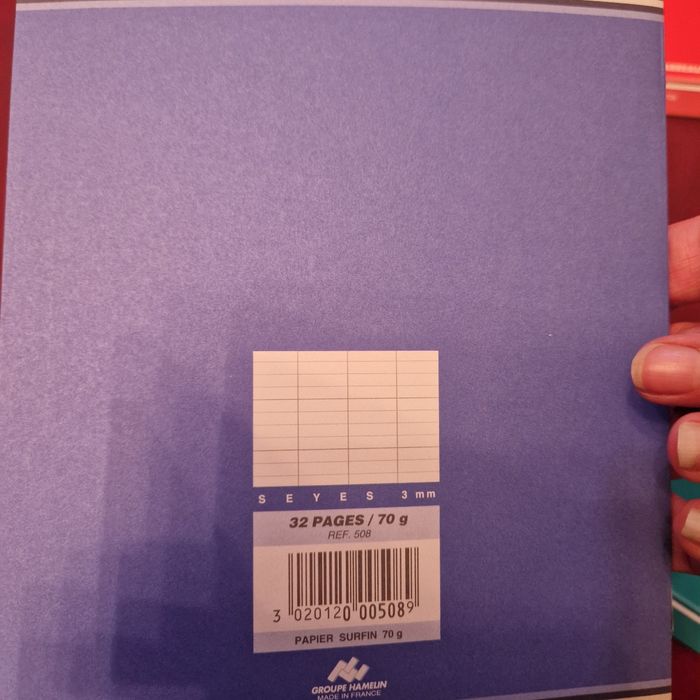 Lot 4 cahiers neuf grands carreaux - photo numéro 6