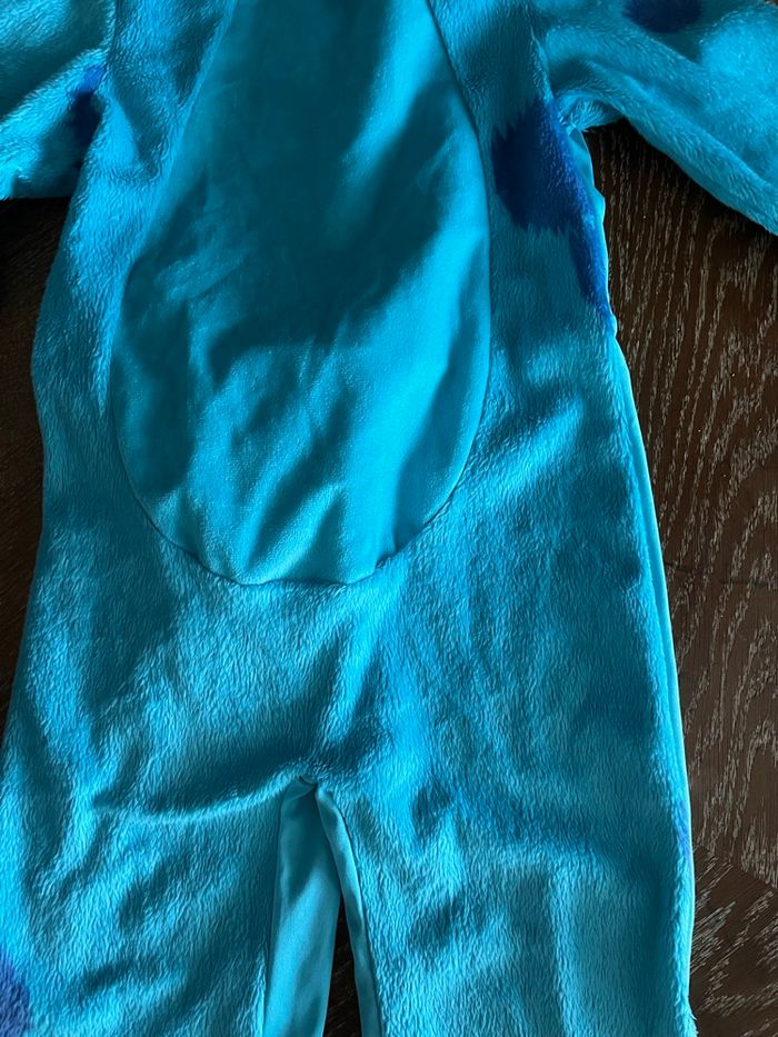 Costume de Sully - photo numéro 4