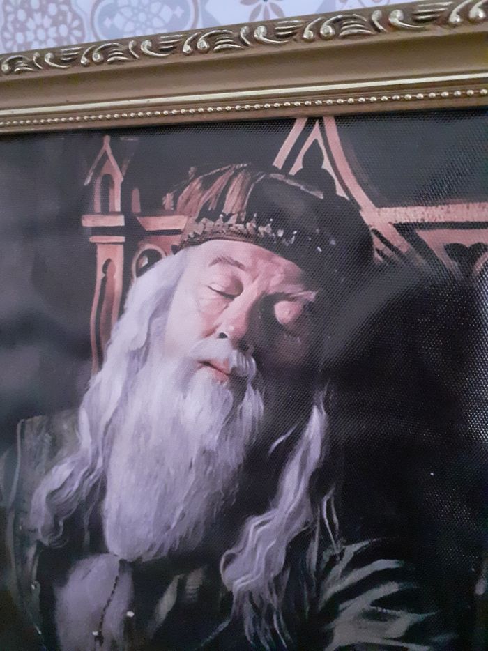 Cadre Harry potter Dumbledore dans cadre ancien - photo numéro 3