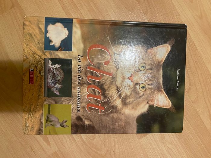 Livre sur les chats