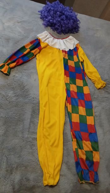 Déguisement Clown