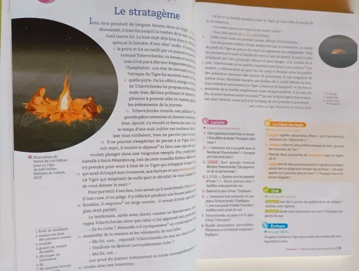 Manuel français : Fleurs d'encre 6e - photo numéro 7