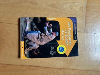 les fourberies de scapin Molière