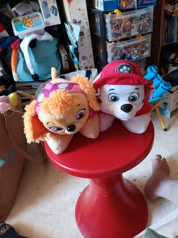 2 peluches coussins pat patrouille pas de vinted go