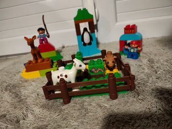 Lot de Lego Duplo animaux
