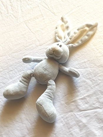 Petit Lapin Bleu Doudou Intérieur Oreilles Museau Blancs Animal Faune Peluche Petits Enfants Bébés
