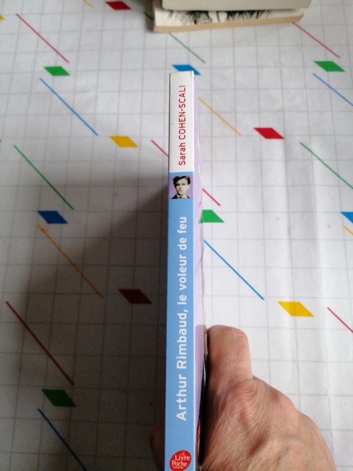 Arthur Rimbaud, le voleur de feu - photo numéro 3