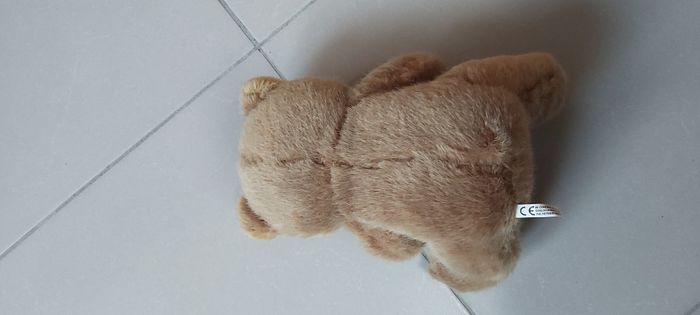 Ourson - photo numéro 3