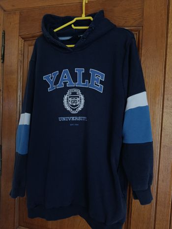 Sweatshirt à capuche Yale