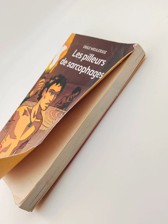 Livre Les pilleurs de sarcophages Tome 1 - photo numéro 5