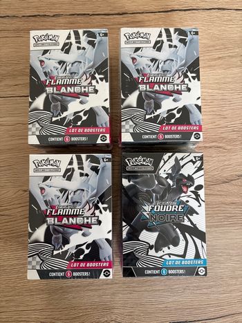 Lots de 4 Bundel flamme blanche foudre noire