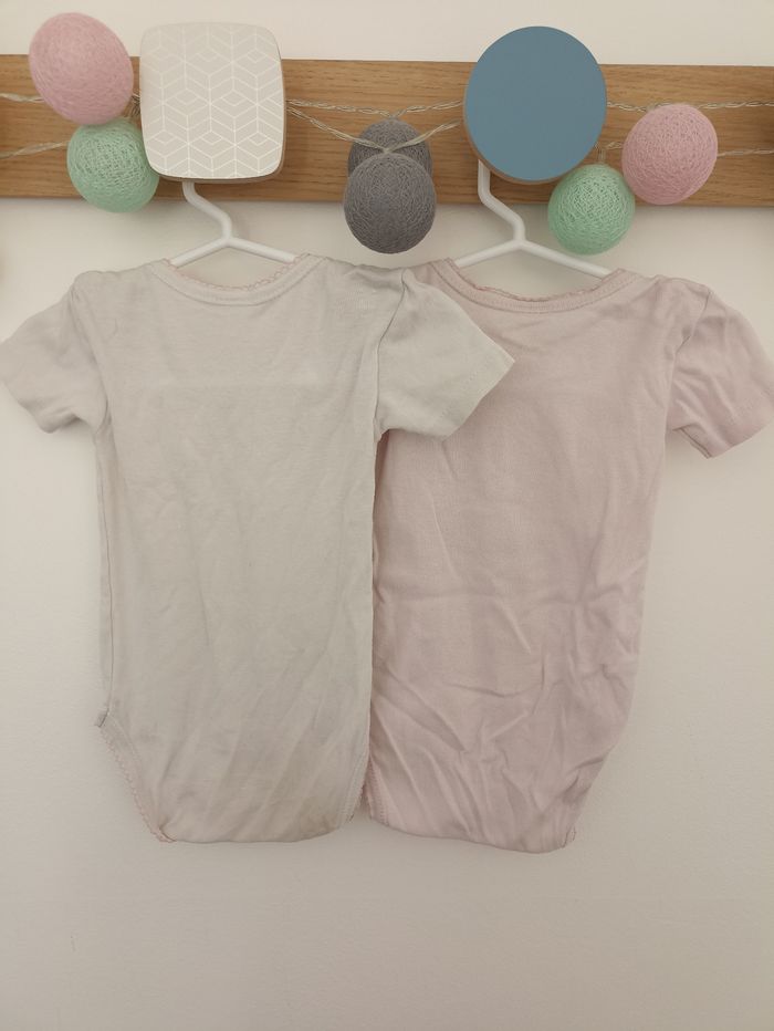 Bodies grenouille - photo numéro 2