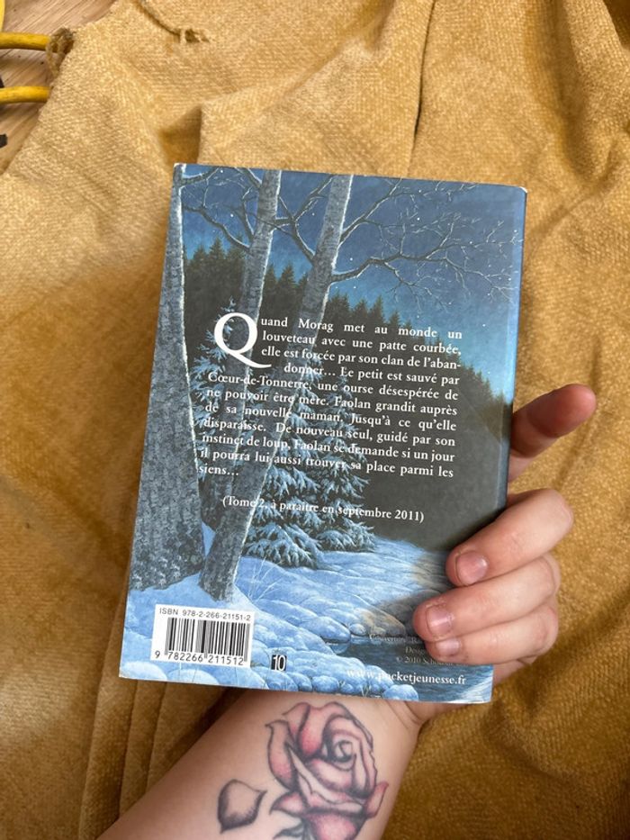 Faolan le solitaire - photo numéro 3