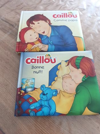 Lot de livres cailloux