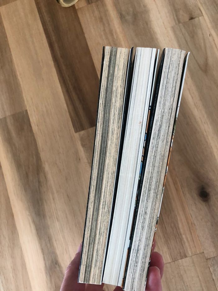 Lot de 3 mangas One Piece - photo numéro 4