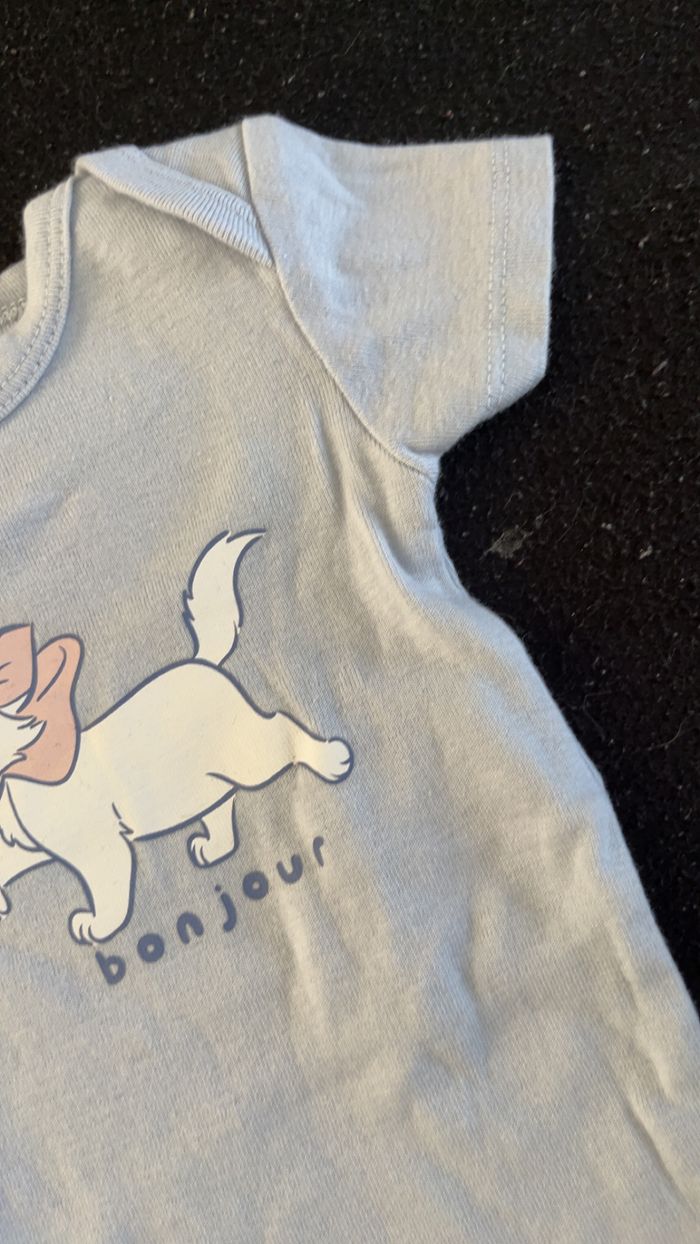 Bodie 3 mois - photo numéro 3