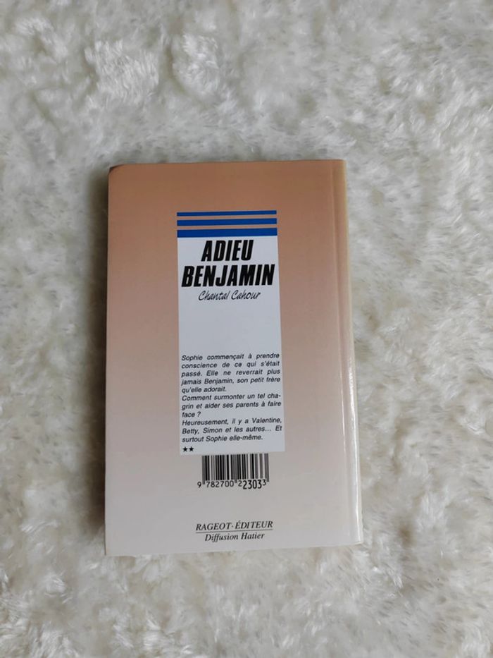 Livre : Adieu Benjamin - photo numéro 2