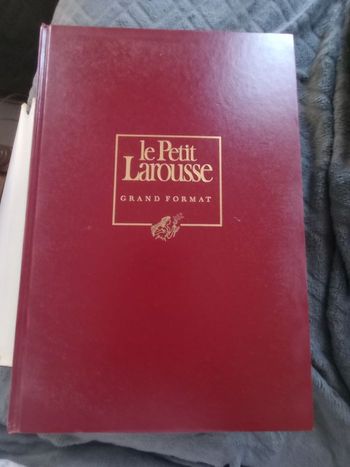 Le petit Larousse grand format