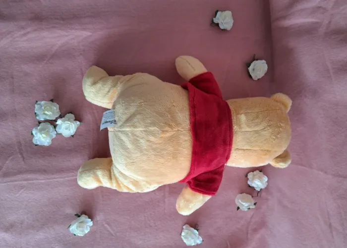 Winnie the pooh peluche disney land - photo numéro 2