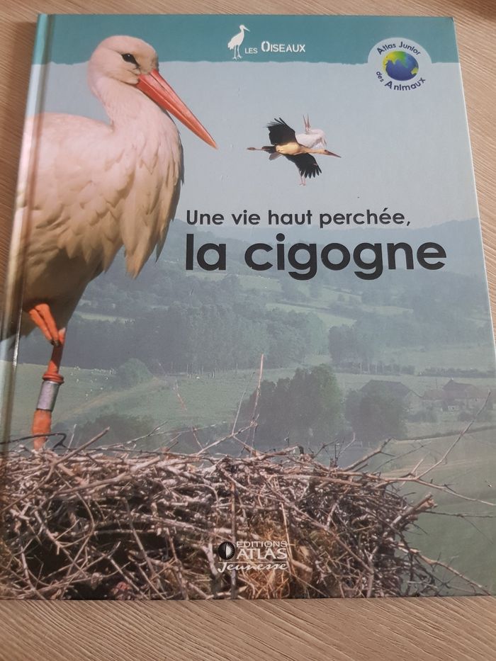 La cigogne