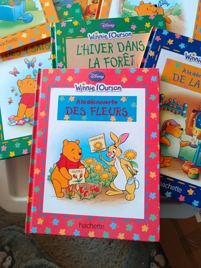 Winnie l'Ourson - photo numéro 2