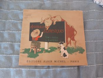 Livre Vintage Animaux Domestiques Edition 1950